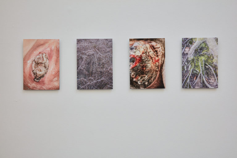 fire fotografier. det ene forestiller close up af en kvinde der føder et barn