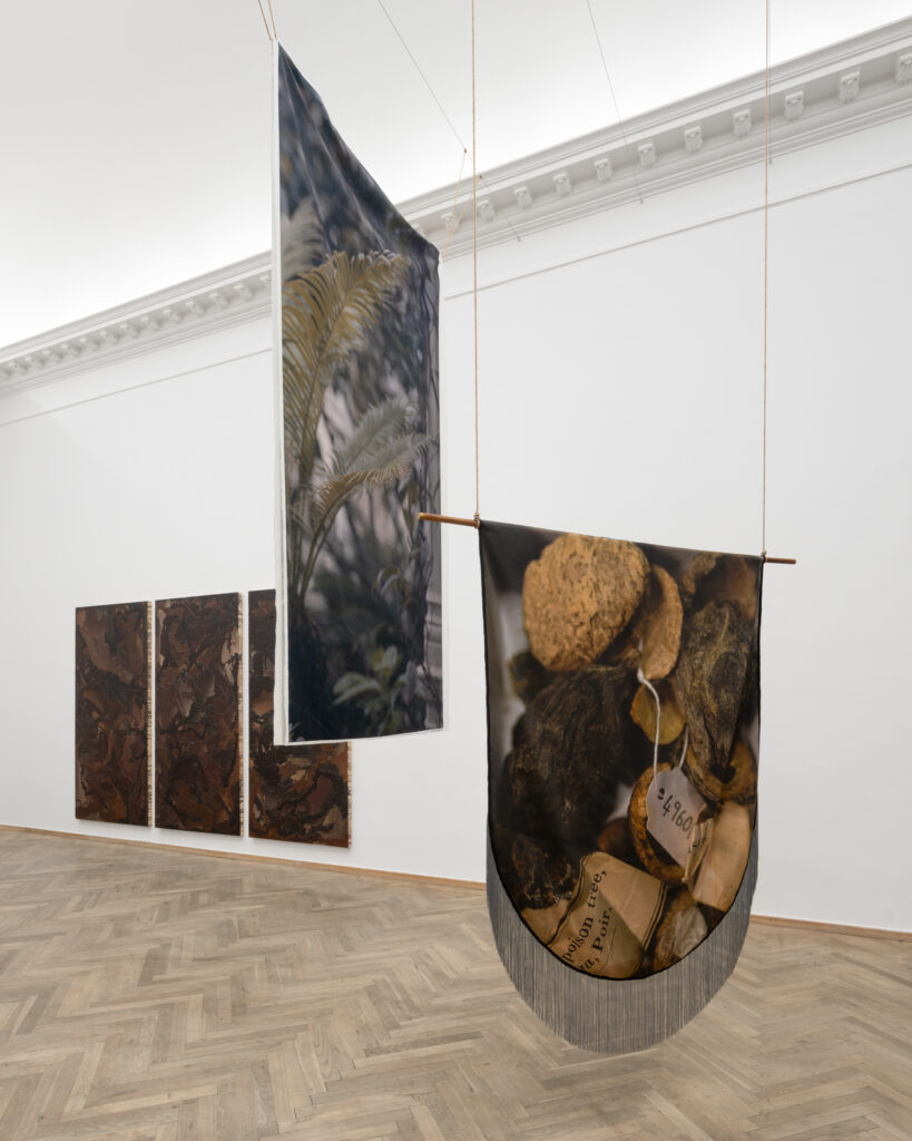 An exhibition space with artworks in brown tones hanging from the ceiling and on the wall.