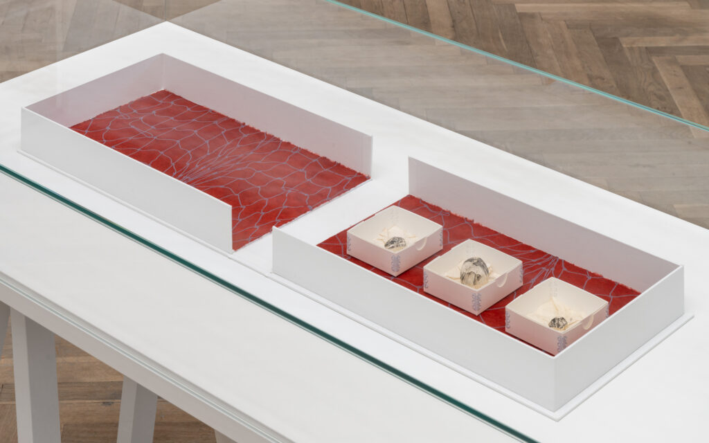 A glass display case containing an artwork in an exhibition space.