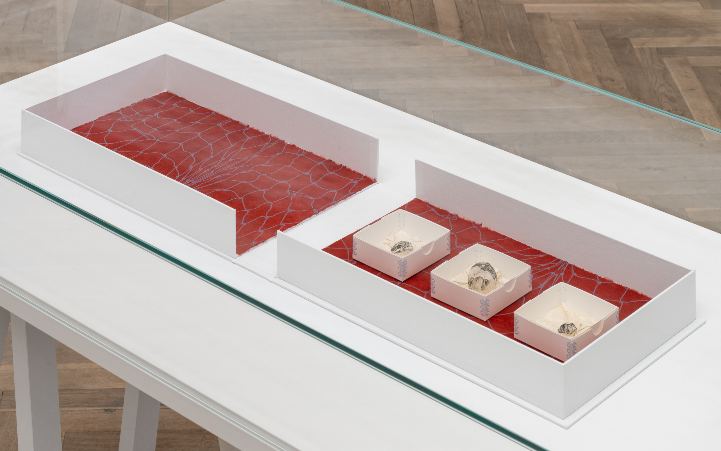 En glasmonstre indeholdende et kunstværk i et udstillingsrum.